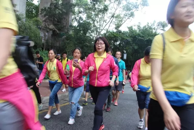 2025新澳门全年免费原料网