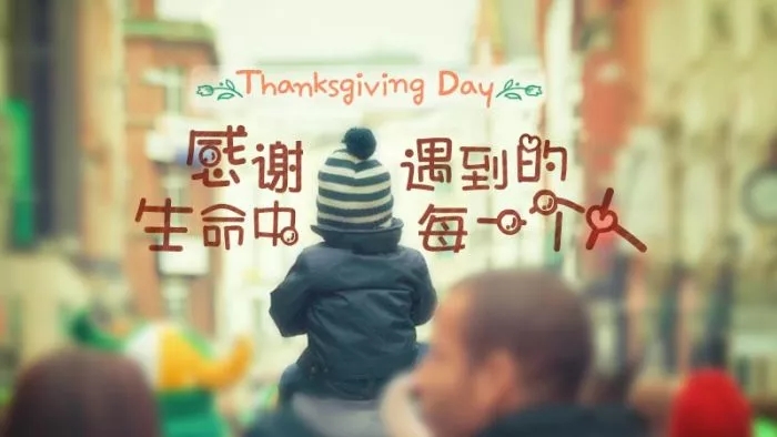 2025新澳门全年免费原料网