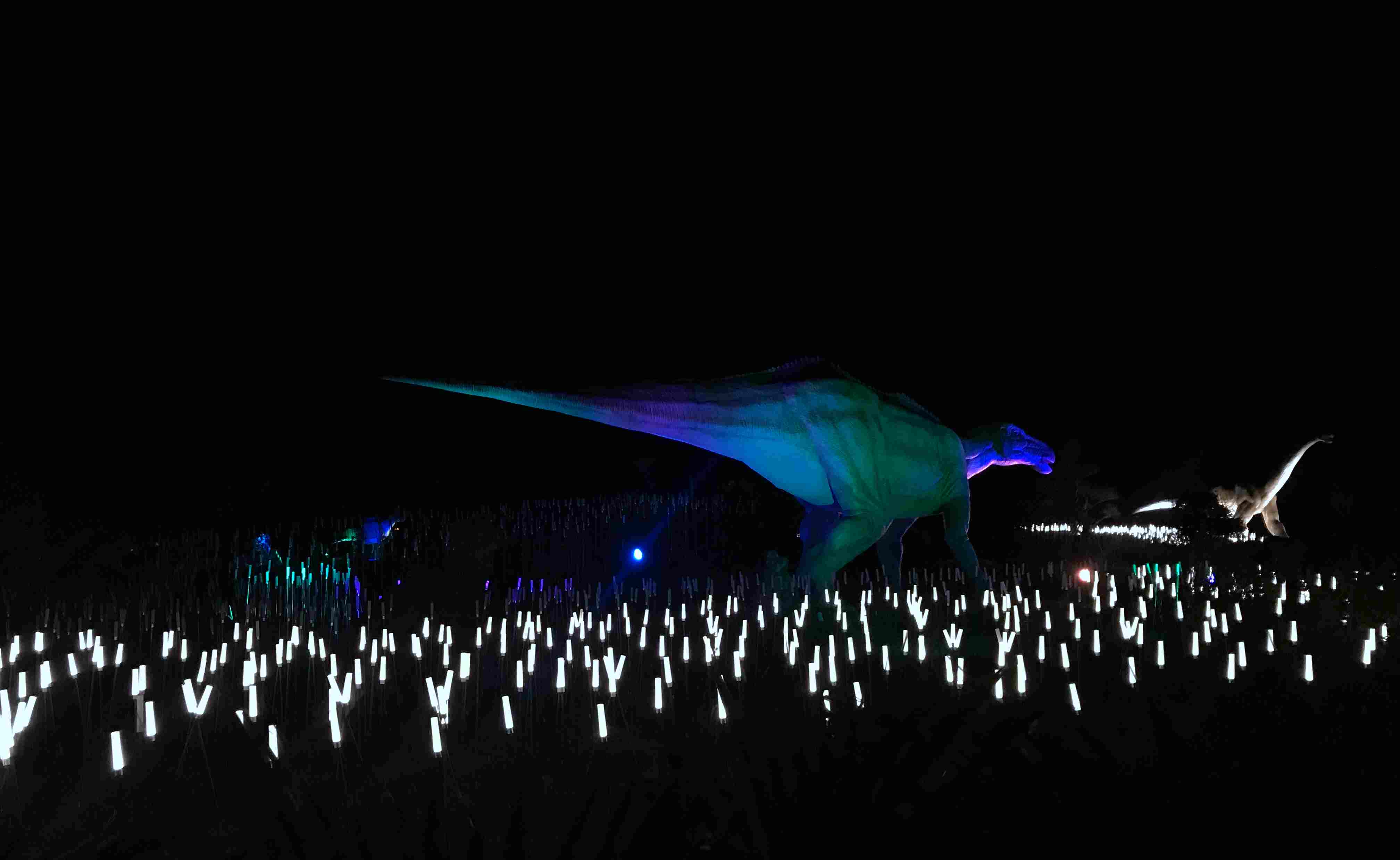 2025新澳门全年免费原料网