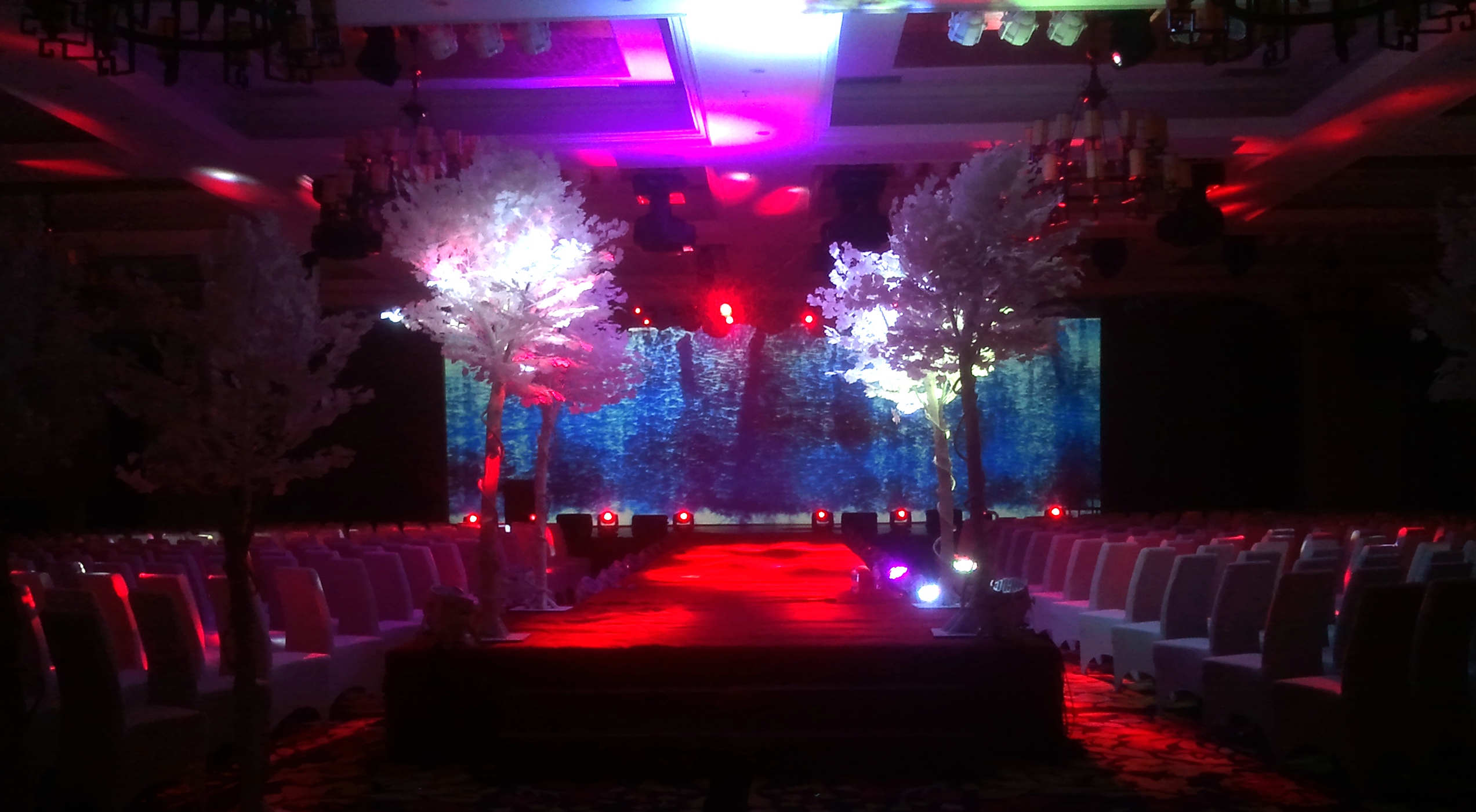 2025新澳门全年免费原料网