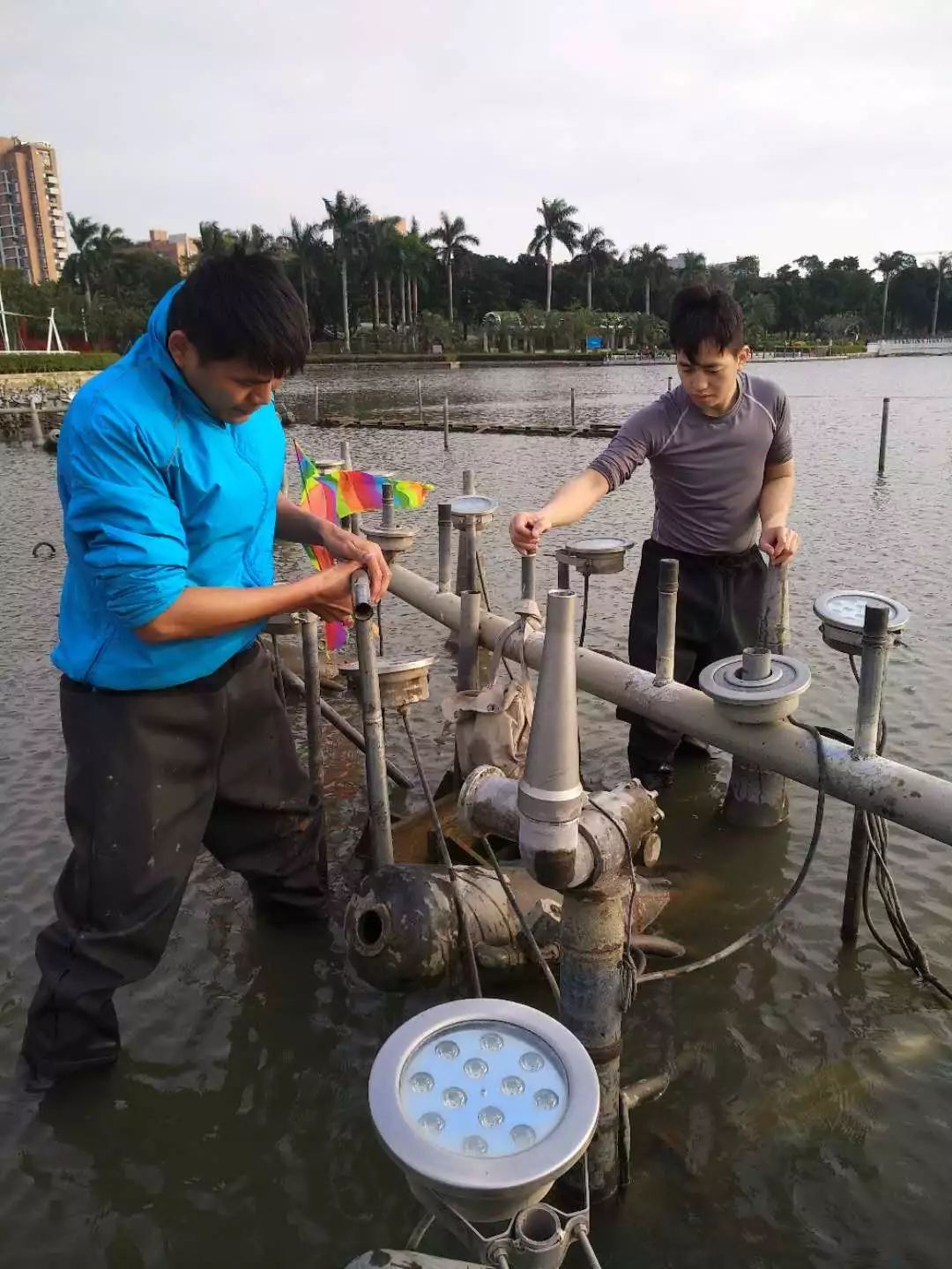 2025新澳门全年免费原料网