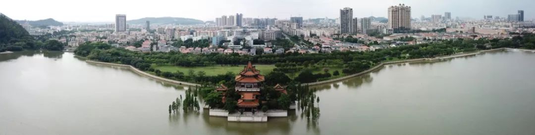 2025新澳门全年免费原料网